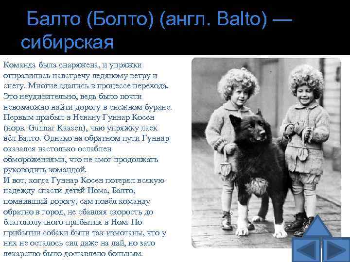  Балто (Болто) (англ. Balto) — сибирская Команда была снаряжена, и упряжки отправились навстречу