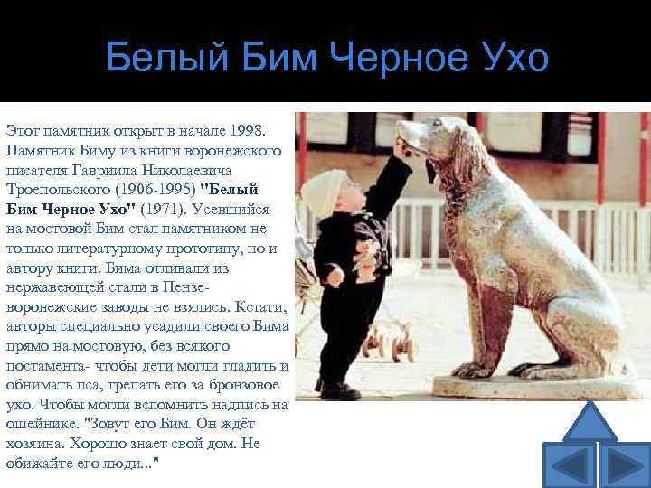Белый Бим Черное Ухо Этот памятник открыт в начале 1998. Памятник Биму из книги