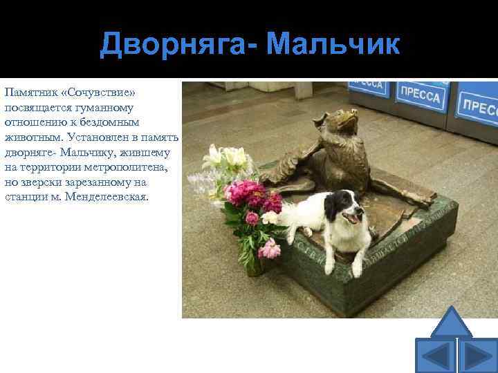 Дворняга- Мальчик Памятник «Сочувствие» посвящается гуманному отношению к бездомным животным. Установлен в память дворняге-