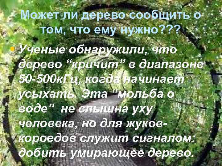 Может ли дерево сообщить о том, что ему нужно? ? ? § Ученые обнаружили,