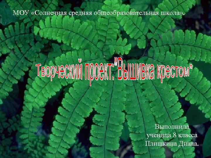 МОУ «Солнечная средняя общеобразовательная школа» . Выполнила ученица 8 класса Плишкина Диана. 