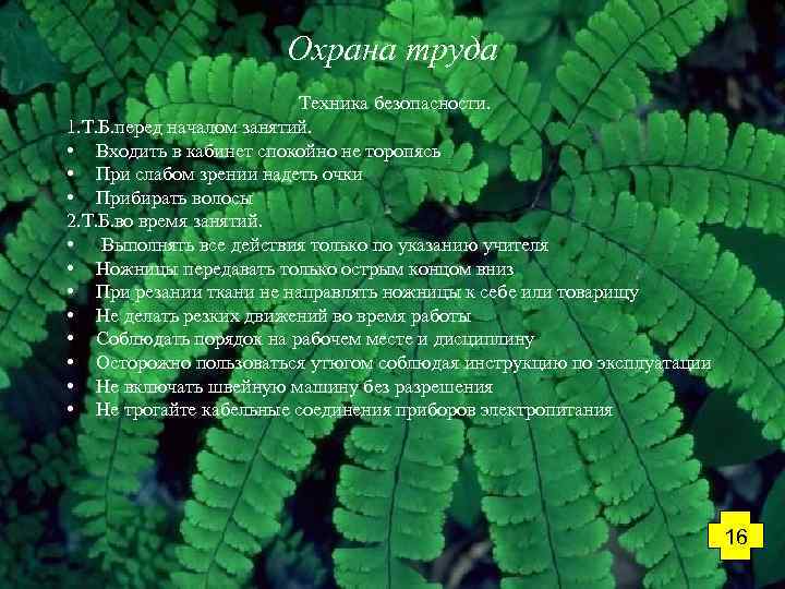 Охрана труда Техника безопасности. 1. Т. Б. перед началом занятий. • Входить в кабинет