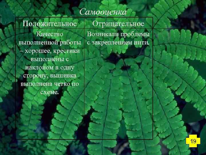 Самооценка Положительное Отрицательное Качество Возникали проблемы выполненной работы с закреплением нити. – хорошее, крестики
