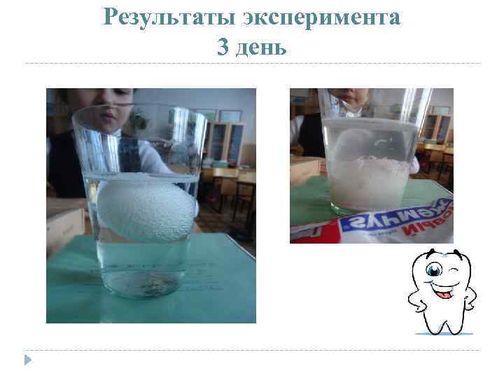 Результаты эксперимента 3 день 