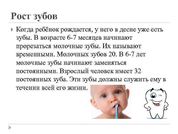 Рост зубов Когда ребёнок рождается, у него в десне уже есть зубы. В возрасте