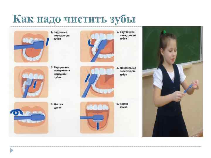 Как надо чистить зубы 