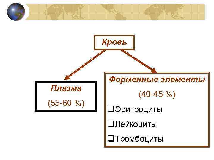 Кровь Плазма (55 -60 %) Форменные элементы (40 -45 %) q. Эритроциты q. Лейкоциты