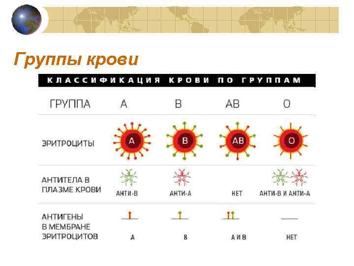 Группы крови 