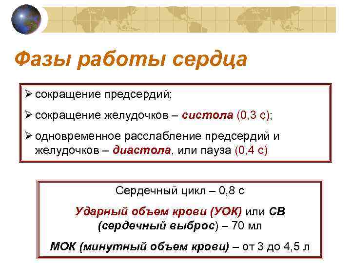 Фазы работы сердца Ø сокращение предсердий; Ø сокращение желудочков – систола (0, 3 с);