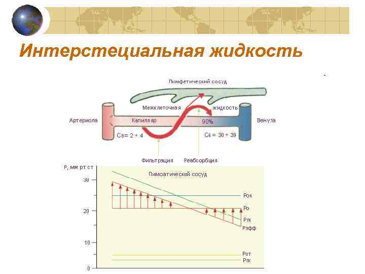 Интерстециальная жидкость 