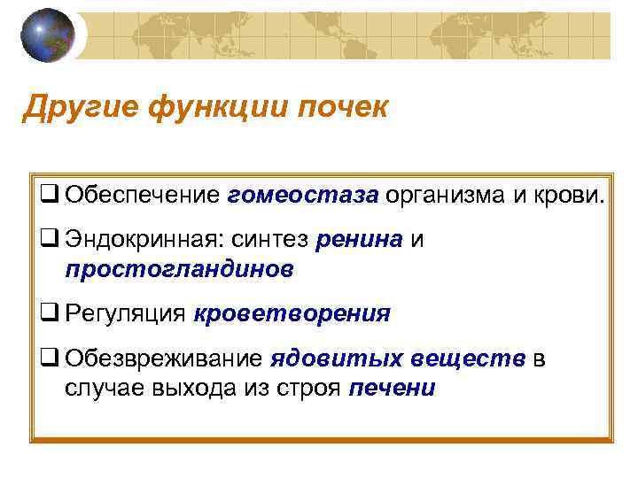 Другие функции почек q Обеспечение гомеостаза организма и крови. q Эндокринная: синтез ренина и