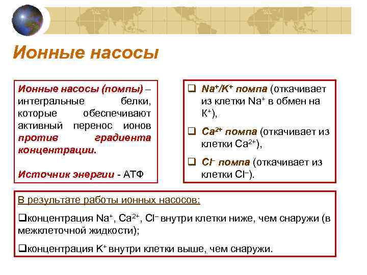 Ионные насосы (помпы) – интегральные белки, которые обеспечивают активный перенос ионов против градиента концентрации.