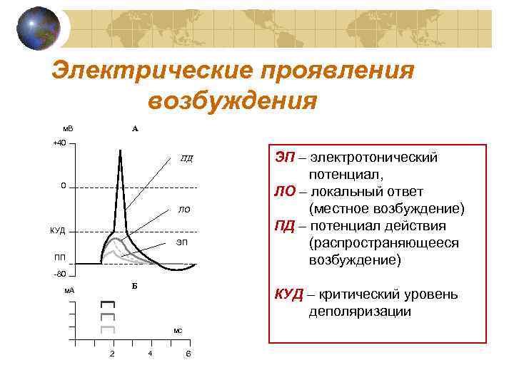 Электрические проявления возбуждения А м. В +40 ПД 0 ЛО КУД ЭП ПП ЭП