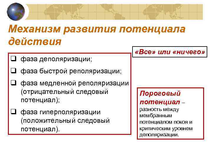 Механизм развития потенциала действия q фаза деполяризации; «Все» или «ничего» q фаза быстрой реполяризации;