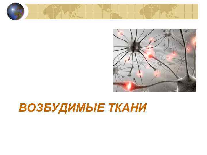 ВОЗБУДИМЫЕ ТКАНИ 