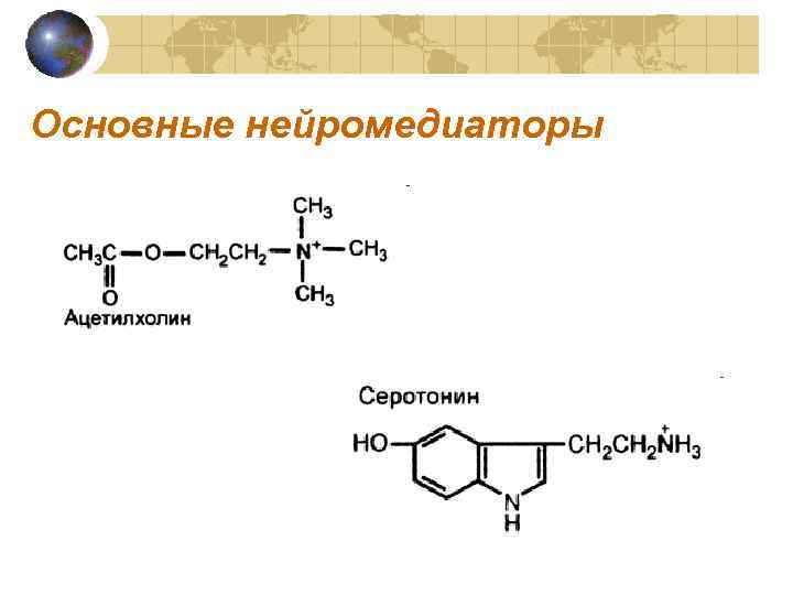 Основные нейромедиаторы 
