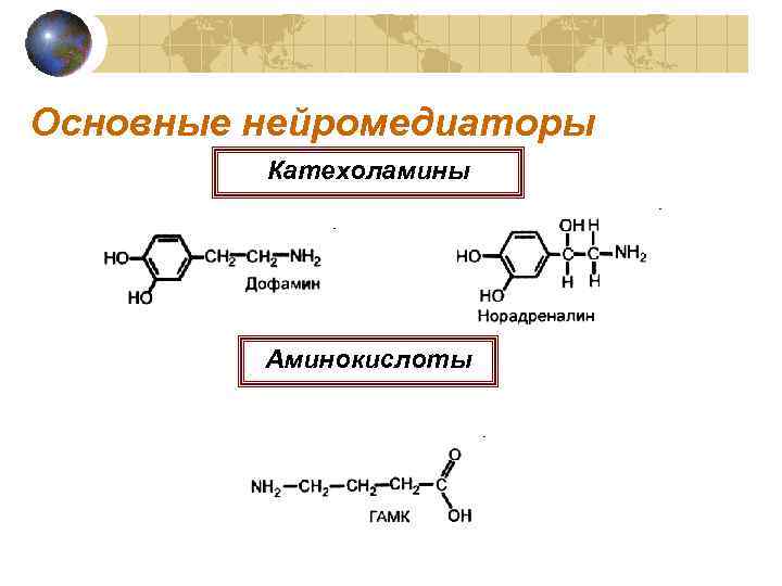 Основные нейромедиаторы Катехоламины Аминокислоты 