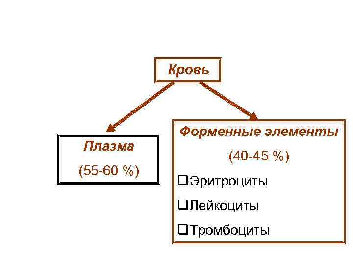 Кровь Плазма (55 -60 %) Форменные элементы (40 -45 %) q. Эритроциты q. Лейкоциты