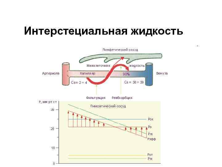 Интерстециальная жидкость 