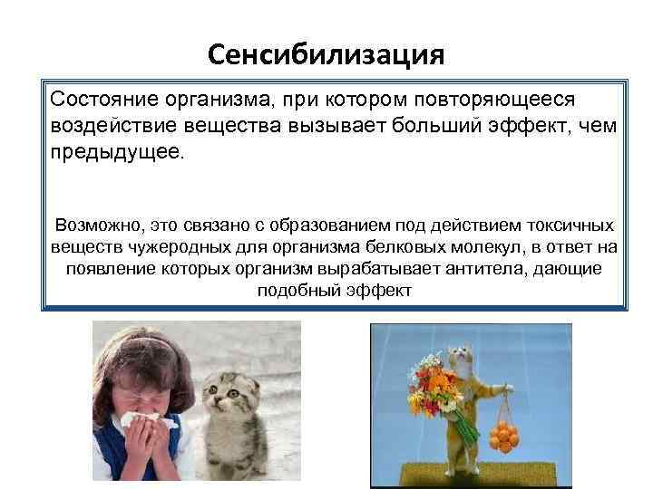 Сенсибилизация Состояние организма, при котором повторяющееся воздействие вещества вызывает больший эффект, чем предыдущее. Возможно,