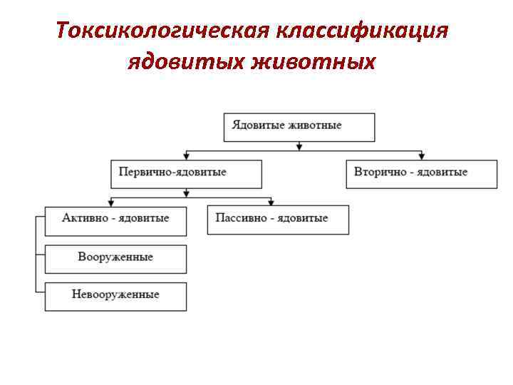 Токсикологическая классификация ядовитых животных 