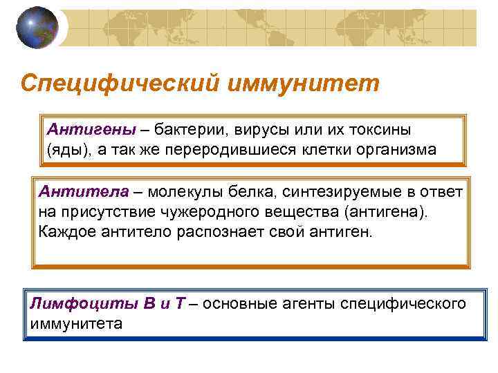 Специфический иммунитет Антигены – бактерии, вирусы или их токсины (яды), а так же переродившиеся