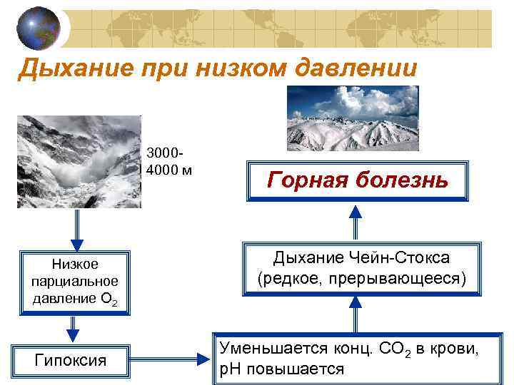 Дыхание при низком давлении 30004000 м Низкое парциальное давление O 2 Гипоксия Горная болезнь