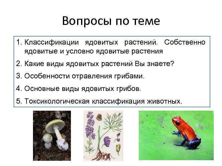 Вопросы по теме 1. Классификации ядовитых растений. Собственно ядовитые и условно ядовитые растения 2.