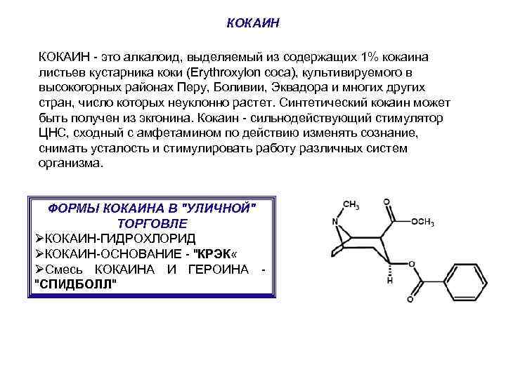 КОКАИН - это алкалоид, выделяемый из содержащих 1% кокаина листьев кустарника коки (Erythroxylon coca),