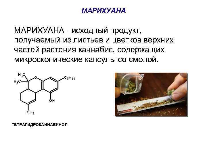 МАРИХУАНА - исходный продукт, получаемый из листьев и цветков верхних частей растения каннабис, содержащих
