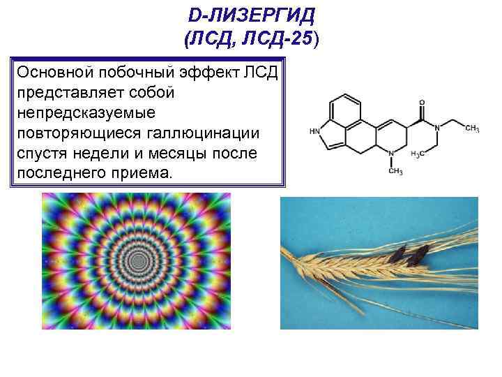 D-ЛИЗЕРГИД (ЛСД, ЛСД-25) Основной побочный эффект ЛСД представляет собой непредсказуемые повторяющиеся галлюцинации спустя недели