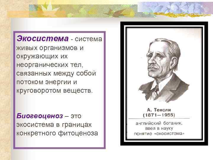 Экосистема - система живых организмов и окружающих их неорганических тел, связанных между собой потоком