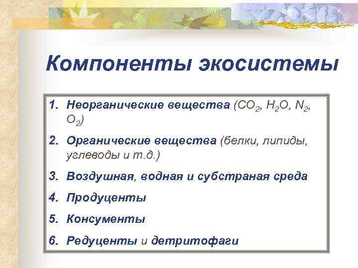 Компоненты экосистемы 1. Неорганические вещества (CO 2, H 2 O, N 2, O 2)