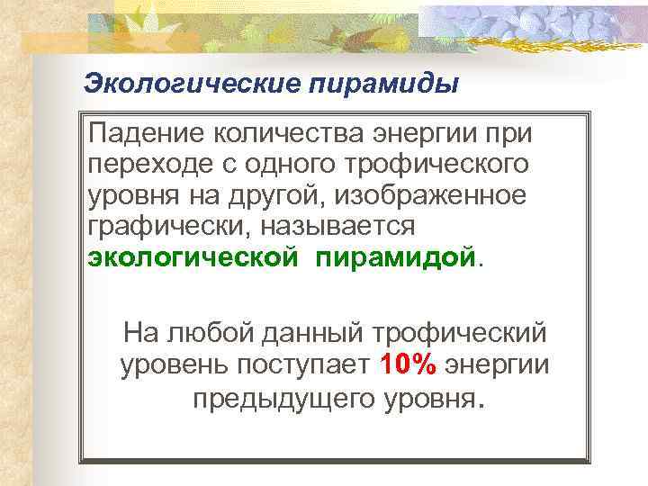 Экологические пирамиды Падение количества энергии при переходе с одного трофического уровня на другой, изображенное