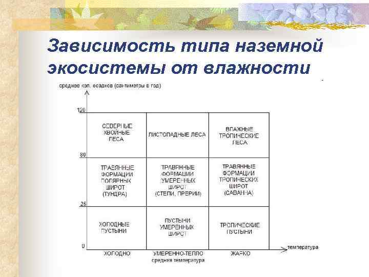 Зависимость типа наземной экосистемы от влажности 