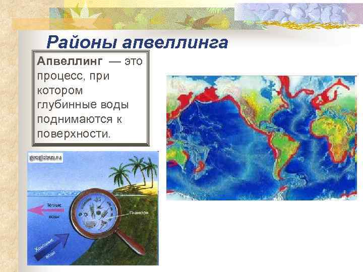 Районы апвеллинга Апвеллинг — это процесс, при котором глубинные воды поднимаются к поверхности. 