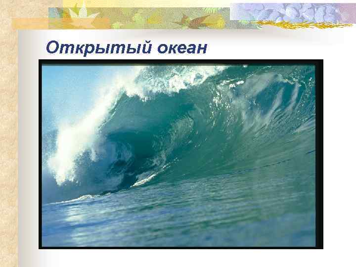 Открытый океан 