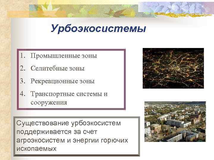 Урбоэкосистемы 1. Промышленные зоны 2. Селитебные зоны 3. Рекреационные зоны 4. Транспортные системы и