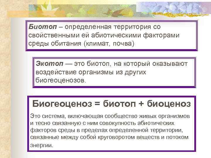 Биотоп – определенная территория со свойственными ей абиотическими факторами среды обитания (климат, почва) Экотоп