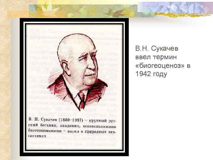 В. Н. Сукачев ввел термин «биогеоценоз» в 1942 году 