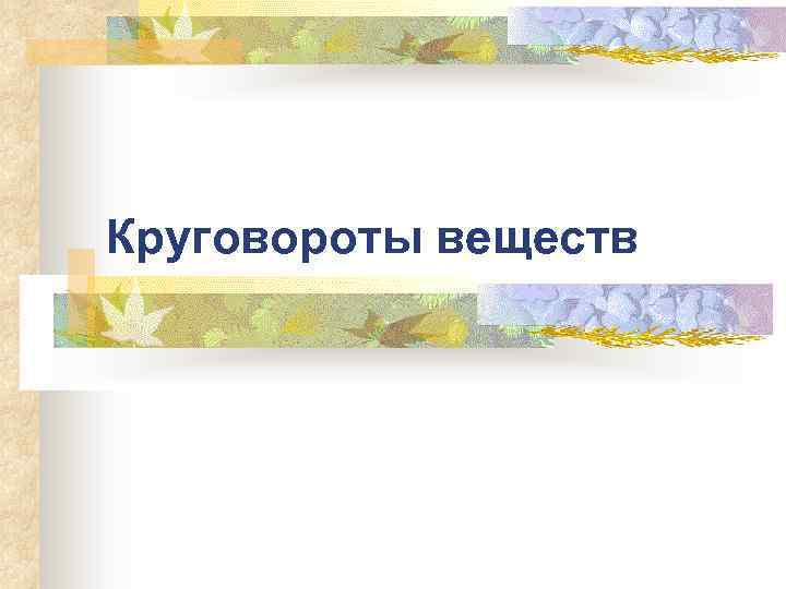 Круговороты веществ 