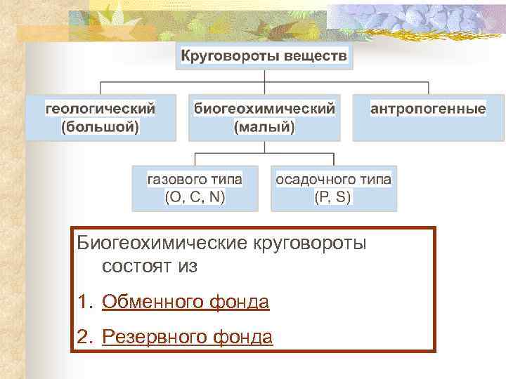 Биогеохимические круговороты состоят из 1. Обменного фонда 2. Резервного фонда 