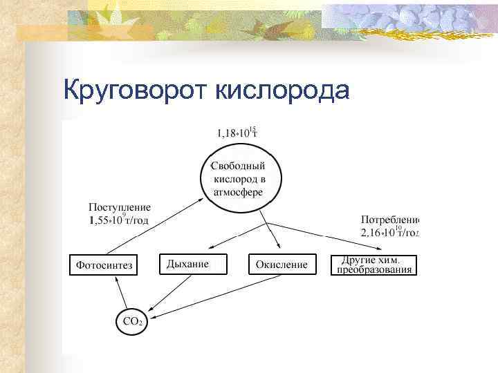 Круговорот кислорода 