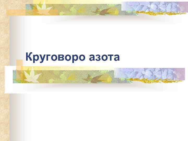 Круговоро азота 