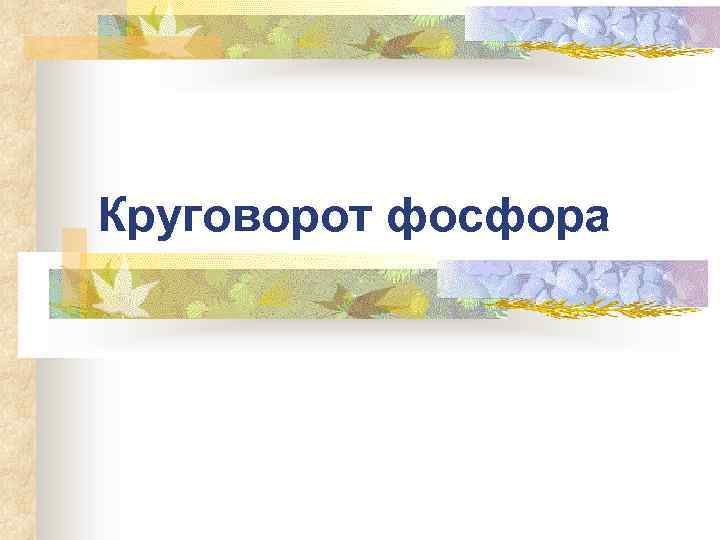 Круговорот фосфора 