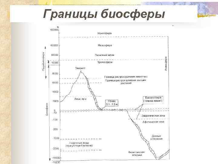 Границы биосферы 