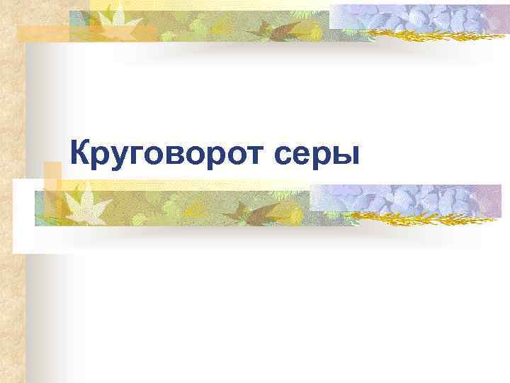 Круговорот серы 