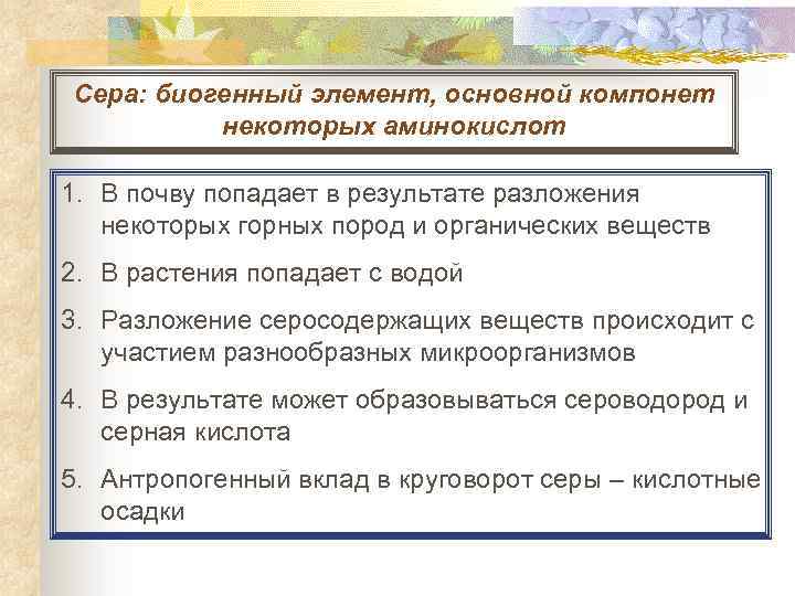 Сера: биогенный элемент, основной компонет некоторых аминокислот 1. В почву попадает в результате разложения