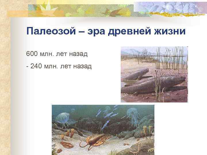 Палеозой – эра древней жизни 600 млн. лет назад 240 млн. лет назад 
