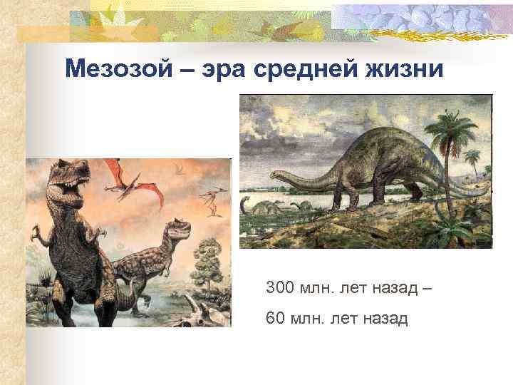 Мезозой – эра средней жизни 300 млн. лет назад – 60 млн. лет назад